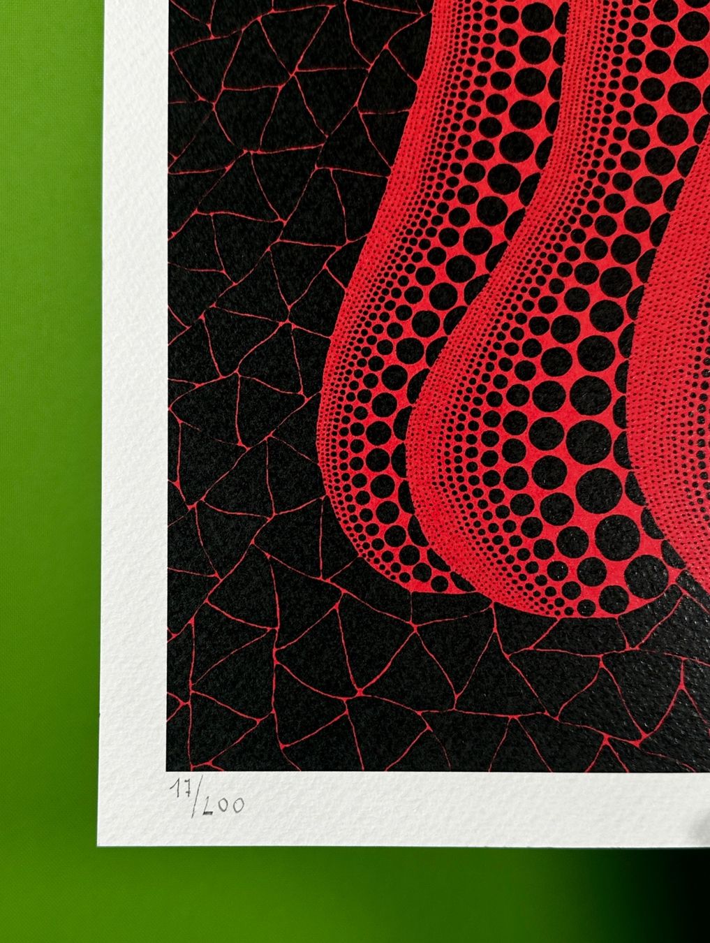 Grafica & Litografie: Yayoi Kusama Pumpkin Lithografie – Usato da Horgen venduto da eli_9xdn 4