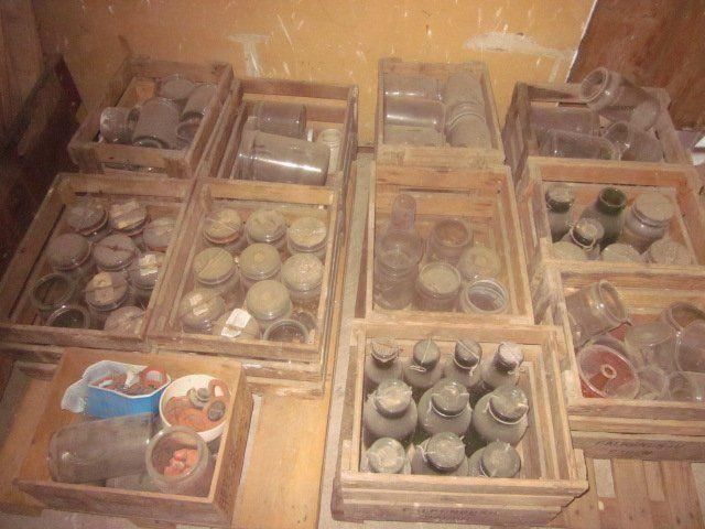 Behälter & Ähnliches: Einmachglas Einmachgläser / Bülachglas Bülachgläser – Gebraucht aus Böttstein von koehlerkafi 7