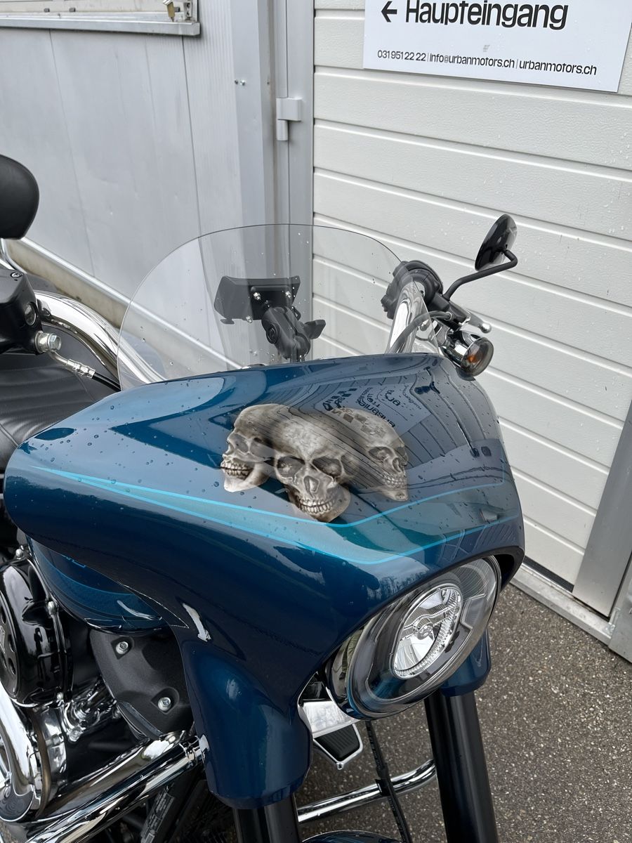 Harley-Davidson Chopper: Harley-Davidson FLSB – Usato da Muri b. Bern venduto da UrbanMotors 4