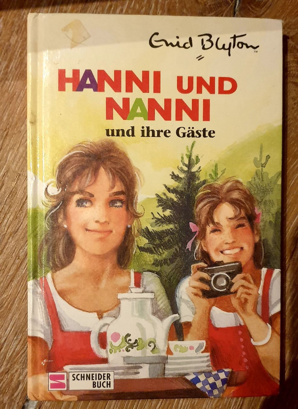Libri: Hanni und Nanni und ihre Gäste – Usato da Zofingen venduto da Benji021