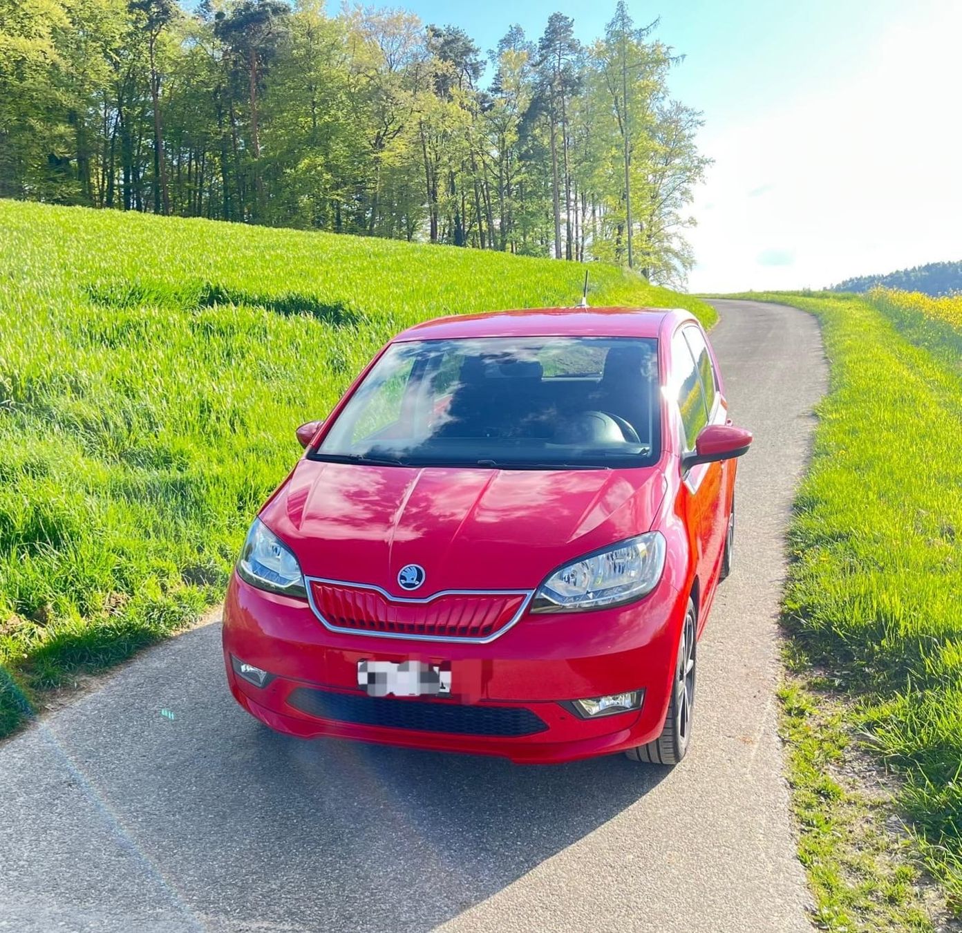Skoda Automobili: Top Elektro-SKODA Citigo e - Service-MFK-04.26-8xPneu – Usato da Zürich venduto da olioli4 4