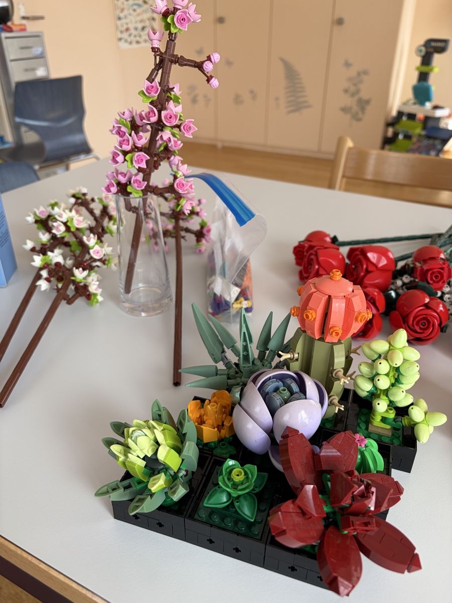 Lego Giocattoli: Lego Botanicals Diverse Blumen Set – Nuovo (secondo la descrizione) da Zürich venduto da powrpff 2