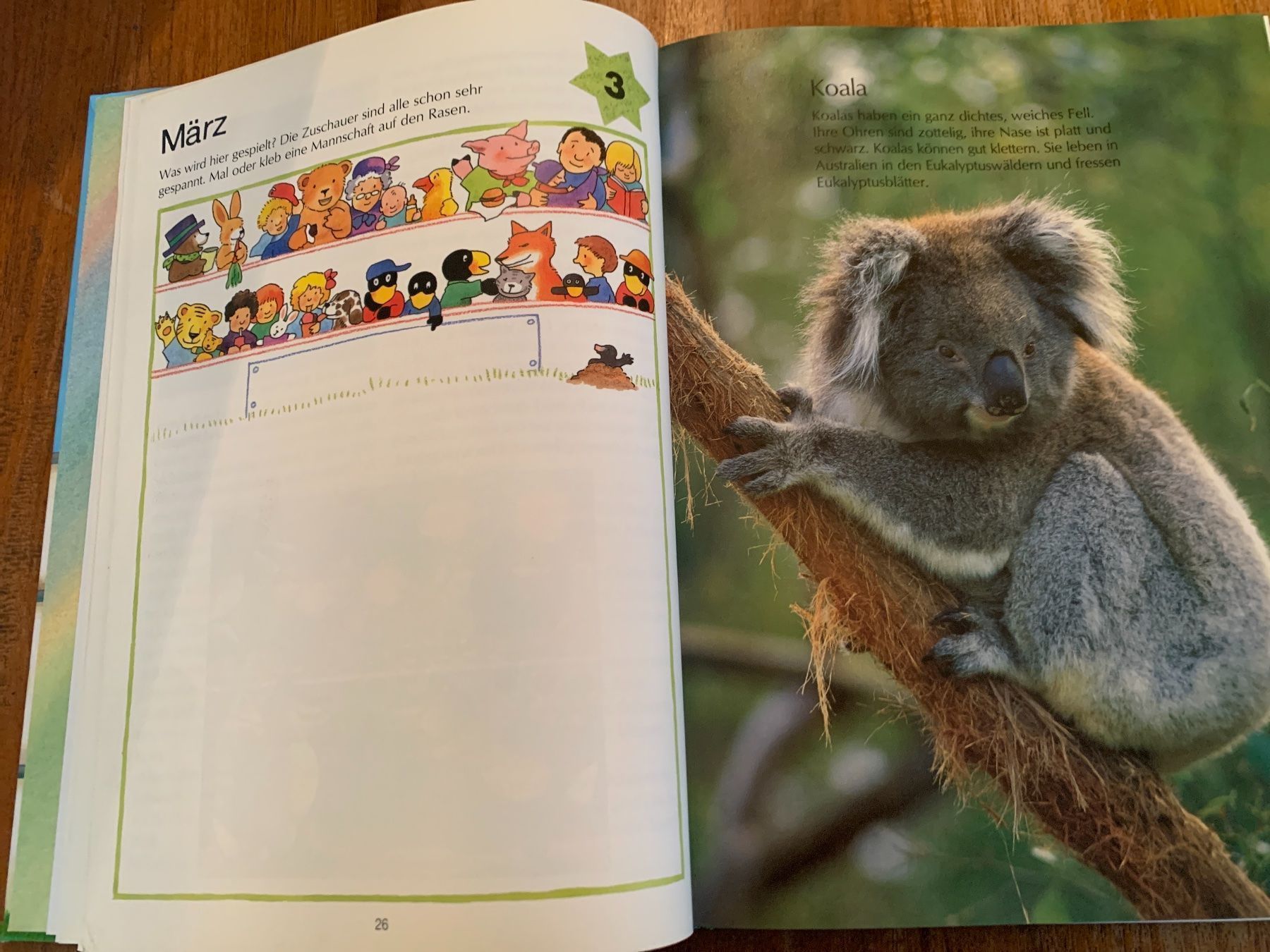 Libri: Jahrbuch für Kinder 1996 – Usato da Regensdorf venduto da Spyke55 2