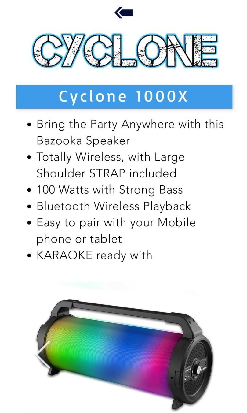 Casse acustiche: Haut-parleur/boxe Cyclone 1000x avec lumière et micro – Usato da Delémont venduto da elena_neuhaus 3
