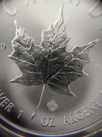 Kanada Maple Leaf Silbermuenze 1 oz 9999 rein
