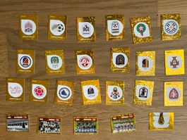 24 cartes panini