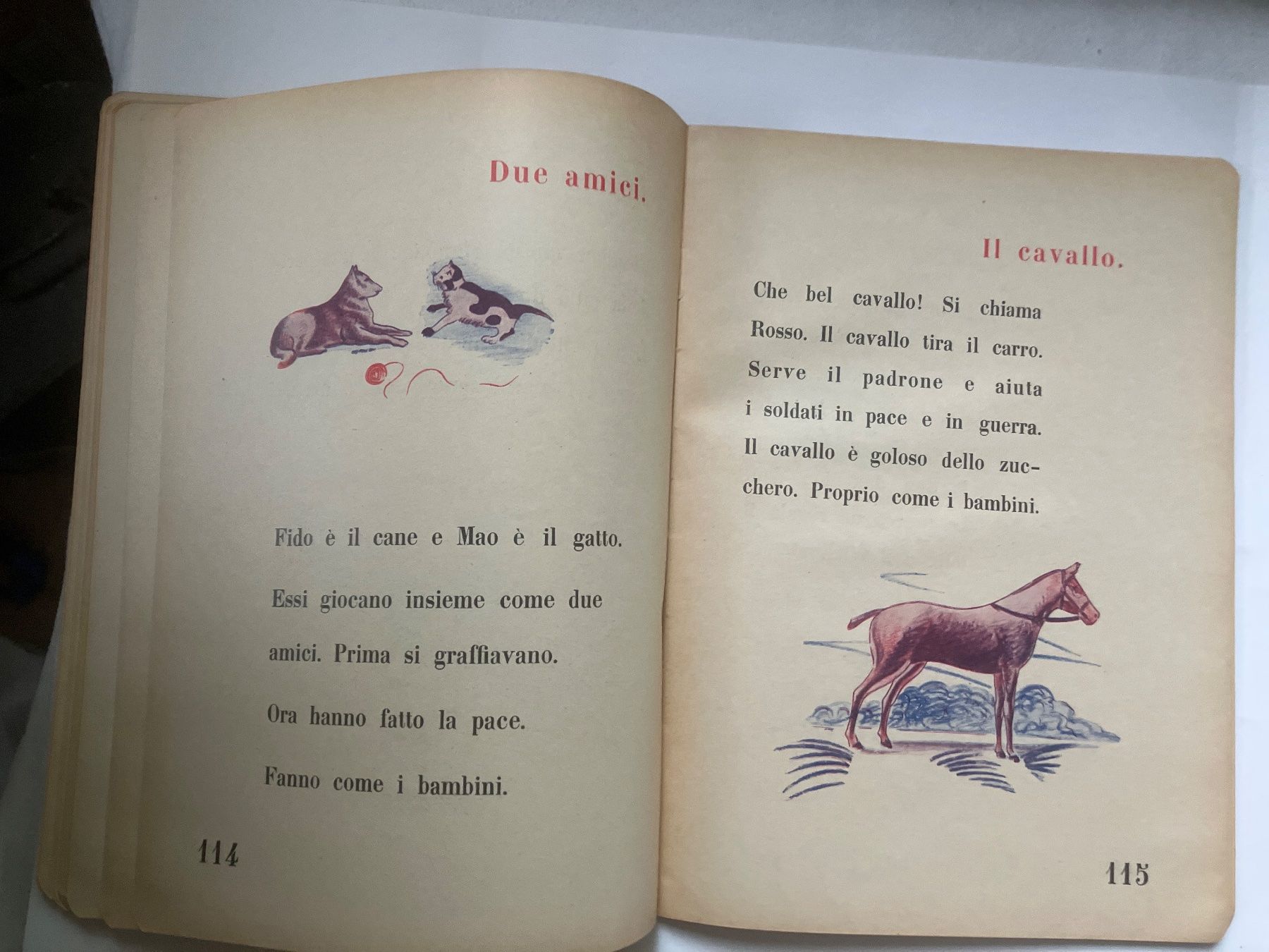Libri: il libro per i bambini – Usato da ZUERICH venduto da Carolus1 9