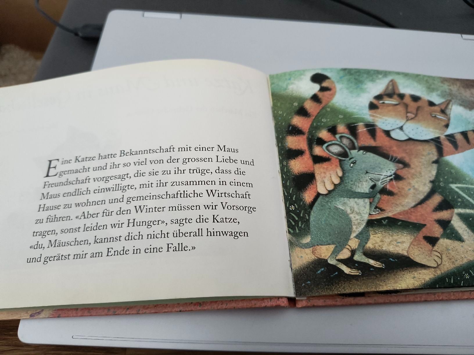Bücher: Wintergeschichte: Katze und Maus in Gesellschaft – Gebraucht aus Oberweningen von Bumblebee2 1