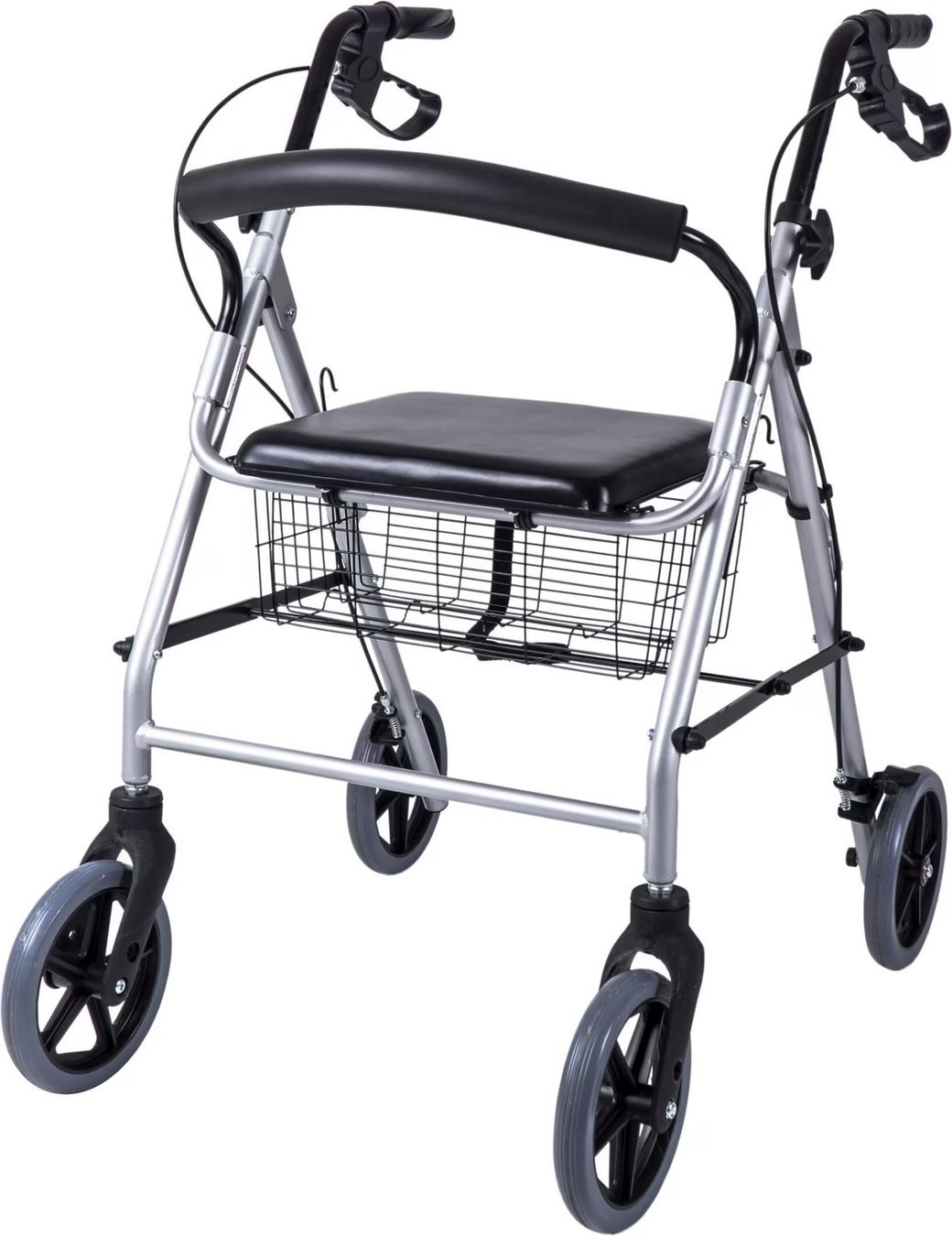 Gehhilfen: Rollator Ridder Eco – Gebraucht aus zürich von nvezin