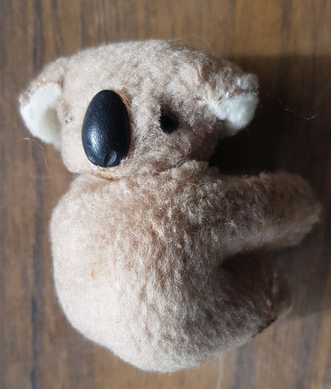 Giocattoli: Plüschtier Koala – Usato da Mörschwil venduto da lindaswunderkiste 3