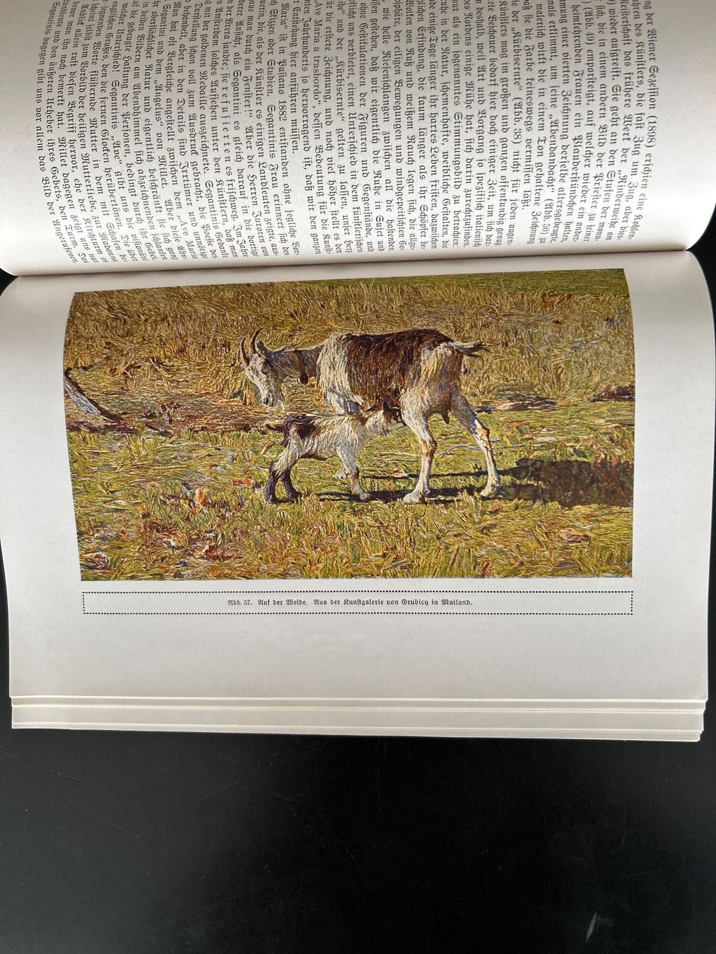 Libri: Segantini von M. Montadon – Usato da Zumikon venduto da tuna007 7