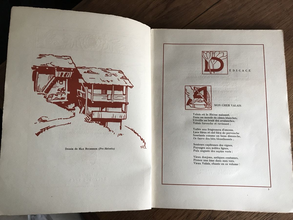 Libri: Théoduline – Usato da Villeneuve VD venduto da sim_q5hp 2