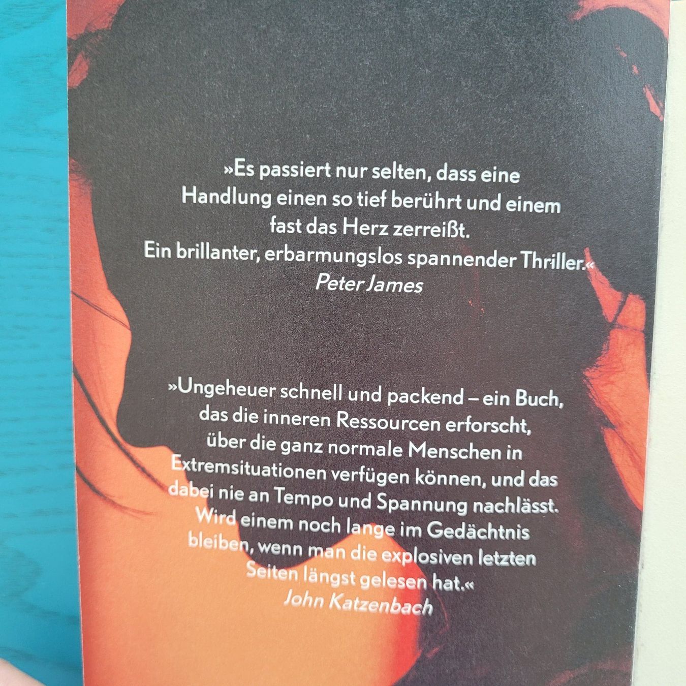 Libri: Haylen Beck- Ohne Spur – Usato da SCHÜBELBACH venduto da CoKaHa 2
