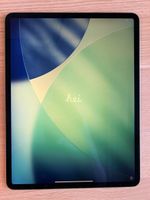 Apple iPad Pro (2018) 12.9 Zoll gebraucht