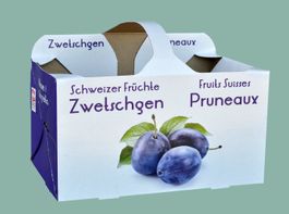 Fruchtschalen 1 kg für Zwetschgen