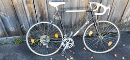 Renn Velo Rad Merida 