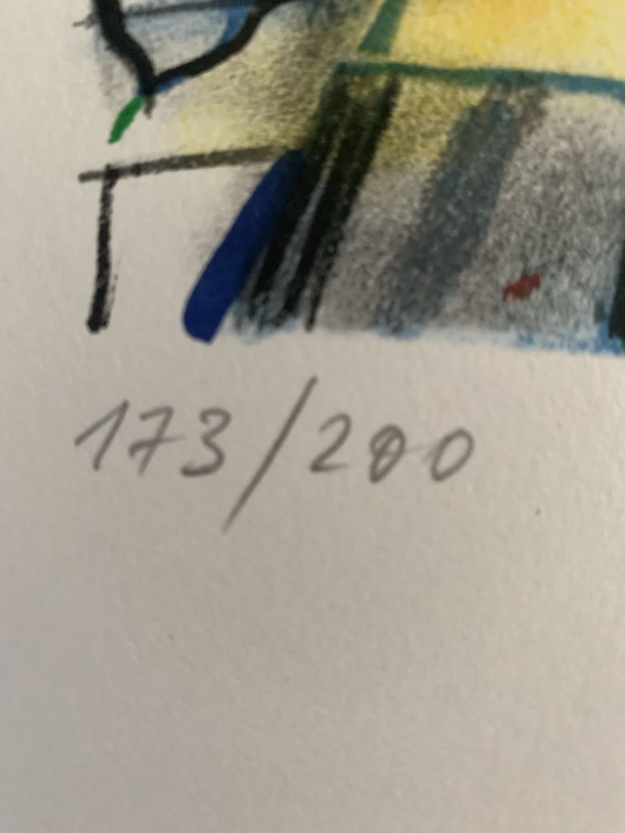 Grafiken & Lithographien: Lithographie von Liuba Kirova 1996 – Neu (gemäss Beschreibung) aus Brugg AG von Simone92 1