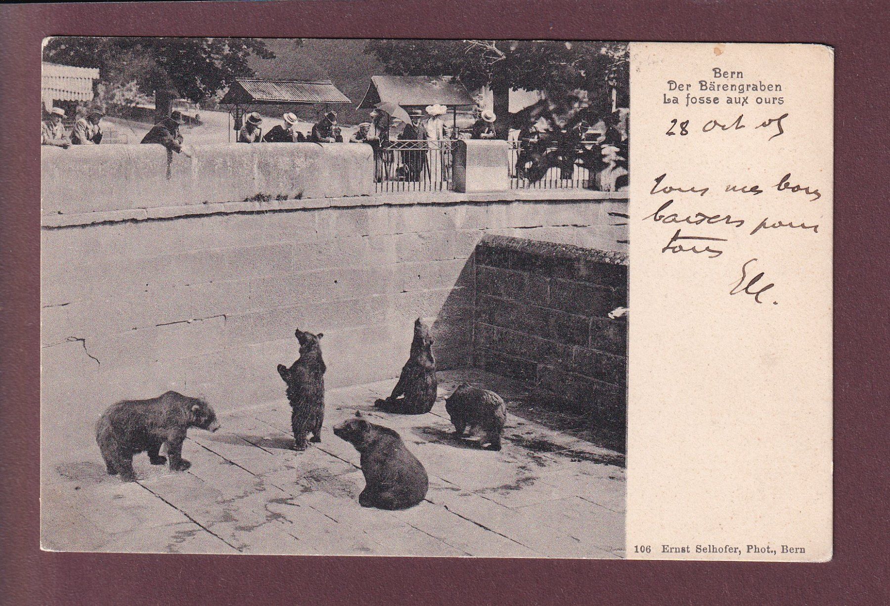 Cartoline postali: BERN - Bärengraben - 1905 – Usato da Pully venduto da nicecards