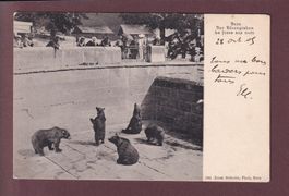 BERN - Bärengraben - 1905