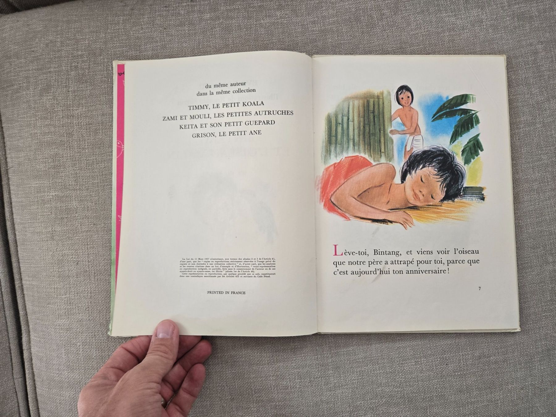 Libri: Bintang et l'oiseau malin – Usato da Crémines venduto da Blakedrake 5