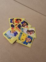 55 verschiedene Panini Bilder WM 26