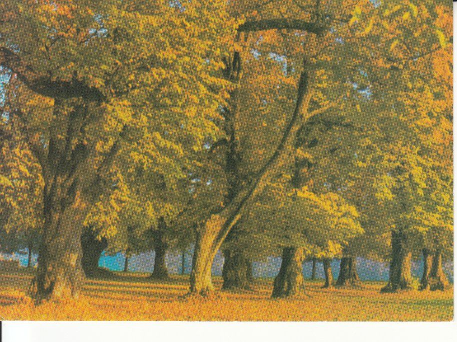 Cartoline postali: Zofingen ca. 1970 – Usato da Bürglen TG venduto da StampGraf