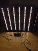 Homegrow LED Pflanzenbeleuchtung mit Vorschaltgerät