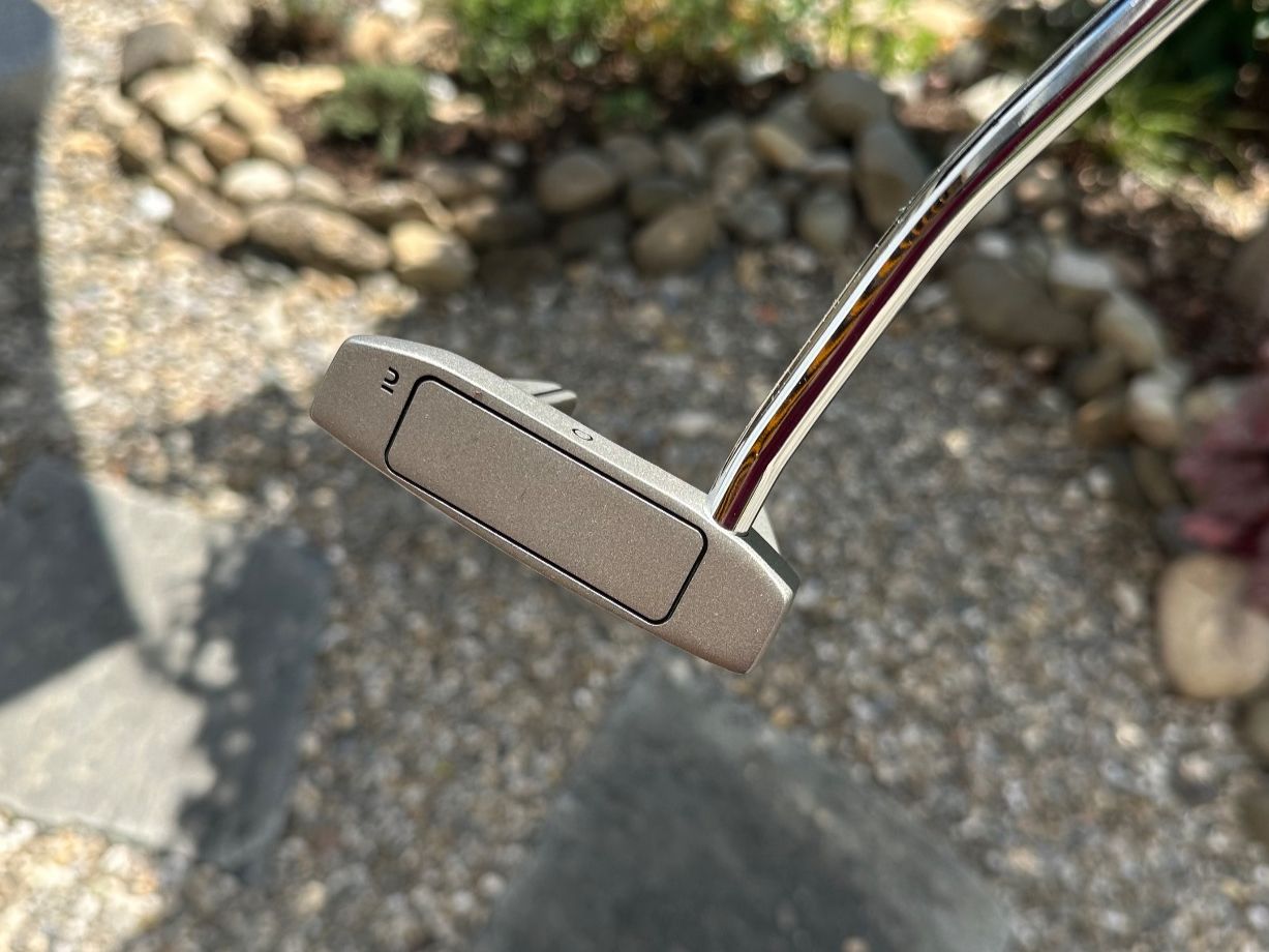 Schläger & Sets: Inesis 100 Putter Mallet, mit Headcover – Gebraucht aus Dachsen von jan_5msw 2