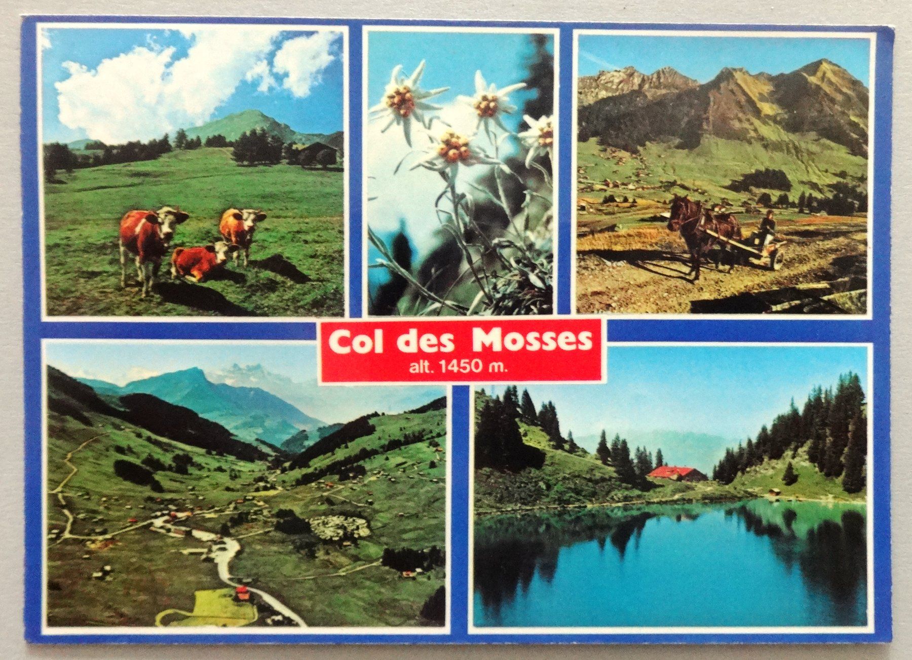 Cartoline postali: Col des Mosses alt. 1450 m – Usato da Fétigny venduto da Billy2miny