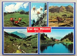 Col des Mosses alt. 1450 m