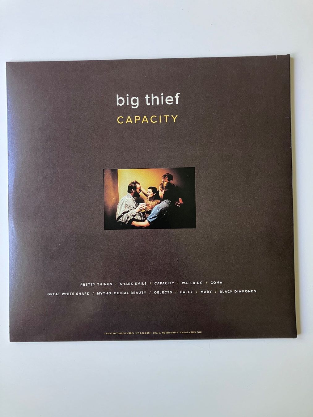Dischi in vinile: Big Thief – Capacity LP – Usato da Luzern venduto da Madvibe 2