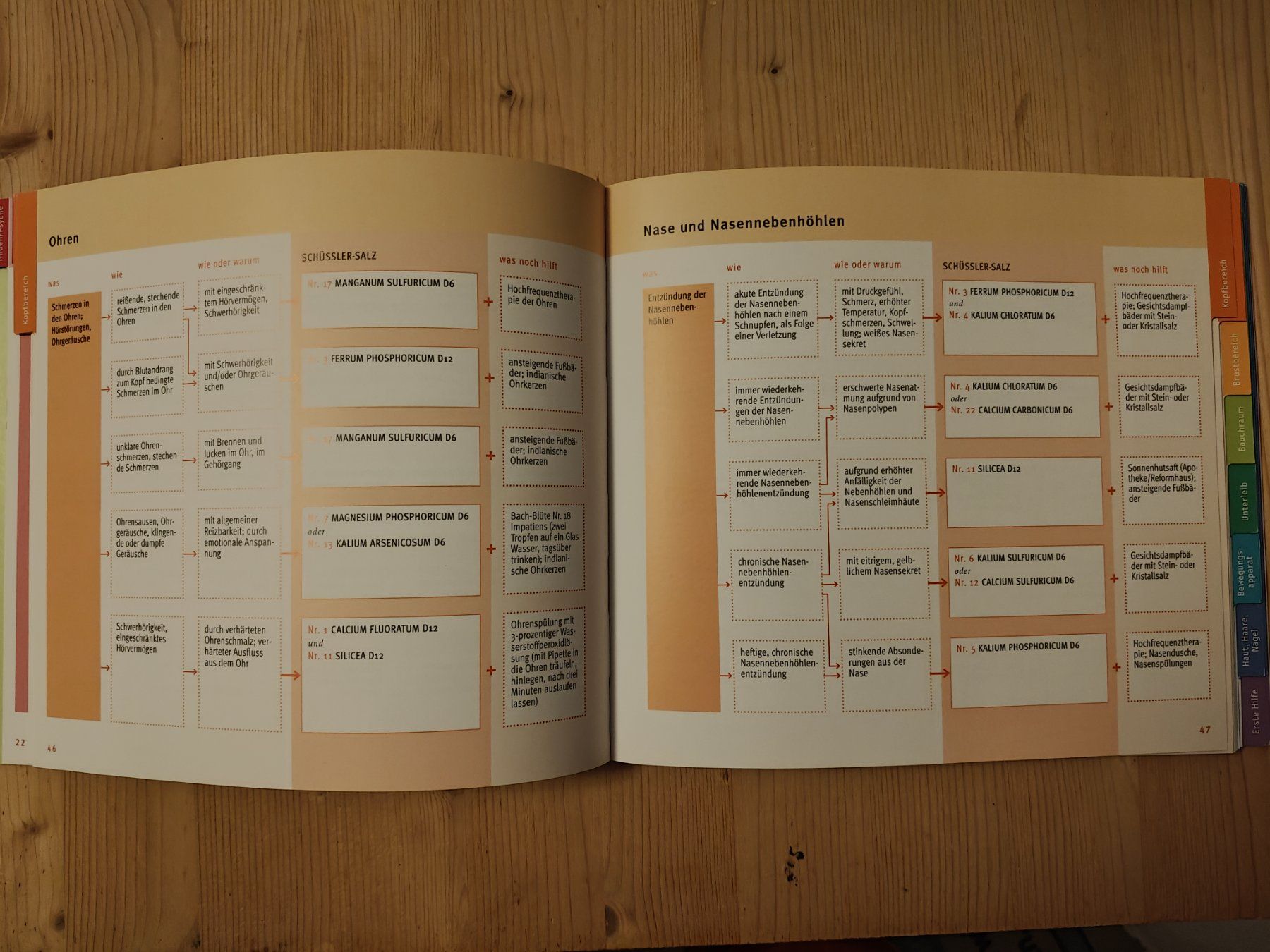 Libri: Quickfinder Schüßler-Salze / GU 2017 - G. Heepen – Usato da Muttenz venduto da IkaSul 1