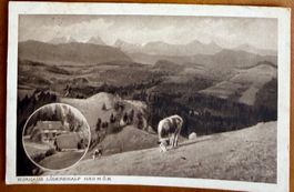 Lüderenalp - Kurhaus  -  Kühe - 1920