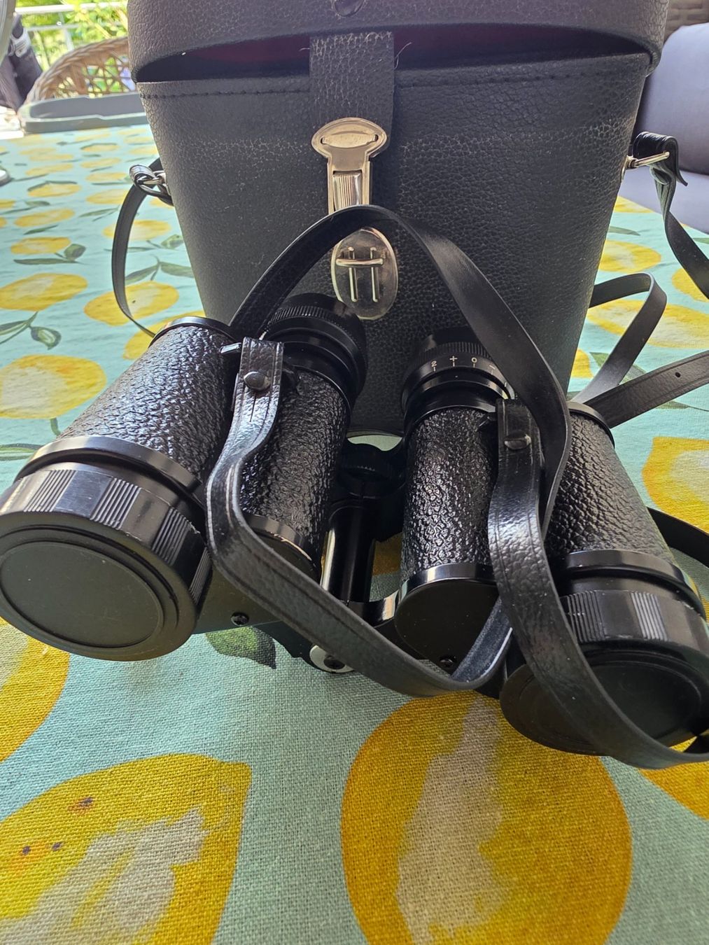 Champion Binocoli: Fernglas Champion 8x30 mit Etui – Usato da Winterthur venduto da Marcello66 2