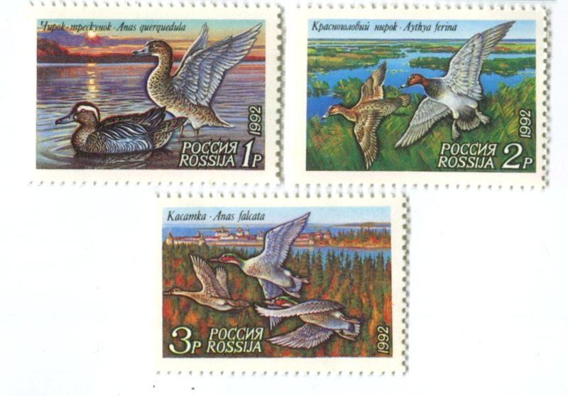 Tutti i francobolli: Briefmarken "Enten". Russland – Nuovo e nell'imballaggio originale da Basel venduto da Butsch5
