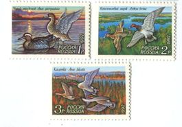 Briefmarken "Enten". Russland