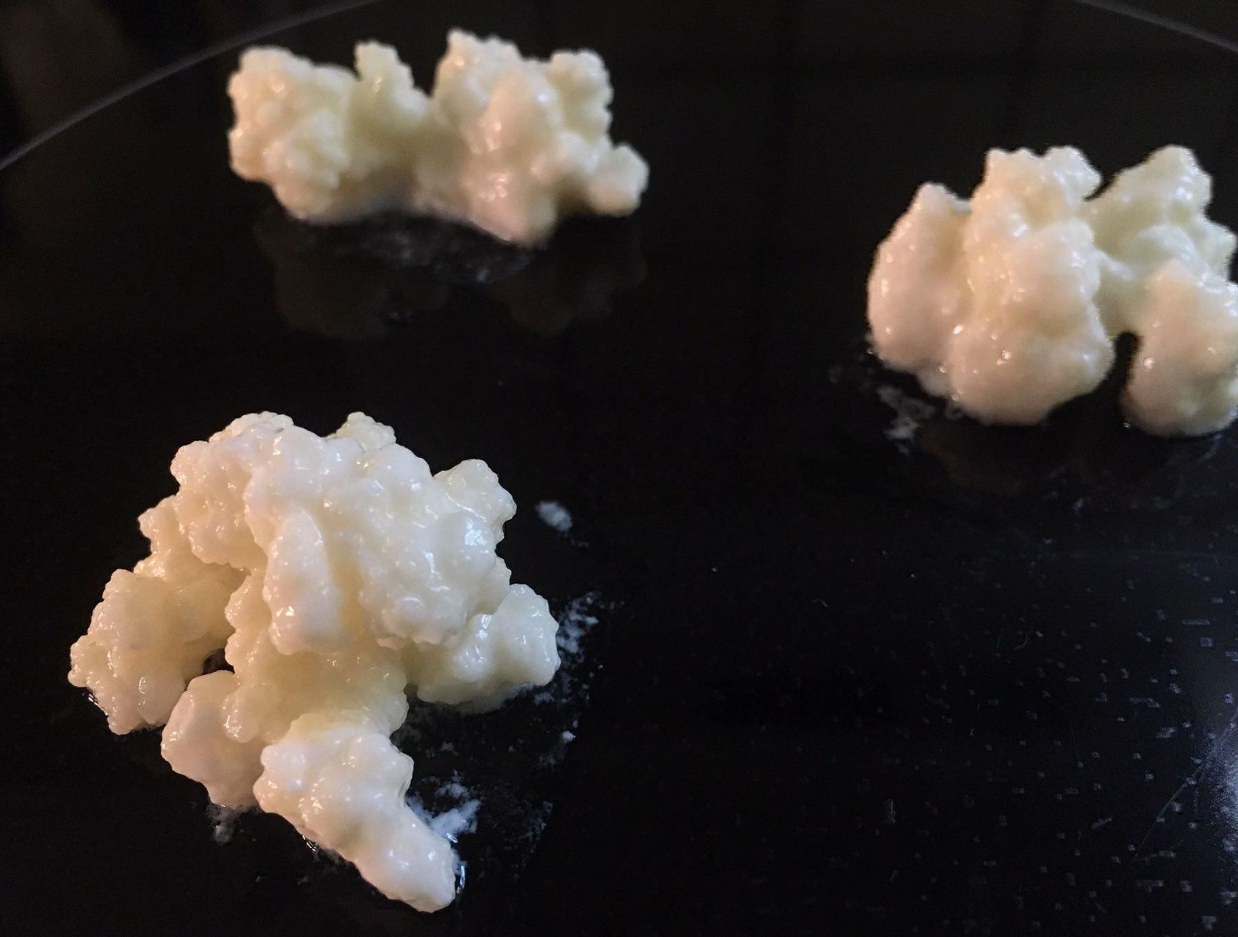 Cibi & Specialità: Kefir, Milchkefir (Bio) – Nuovo (secondo la descrizione) da Wattwil venduto da Radical3 1