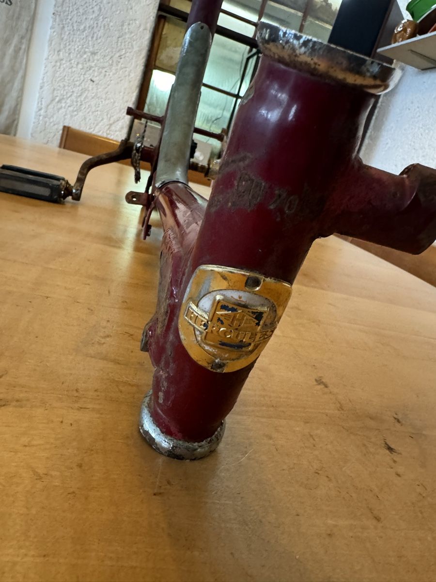 Sachs Parti ricambio per ciclomotori: Sachs 503 Hercules 621 Rahmen – Usato da Dübendorf venduto da Sachs621 1