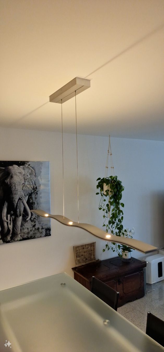 Lampade: Designerlampe Esstisch LED Pendelleuchte – Usato da Root venduto da AtschyFragrance 1