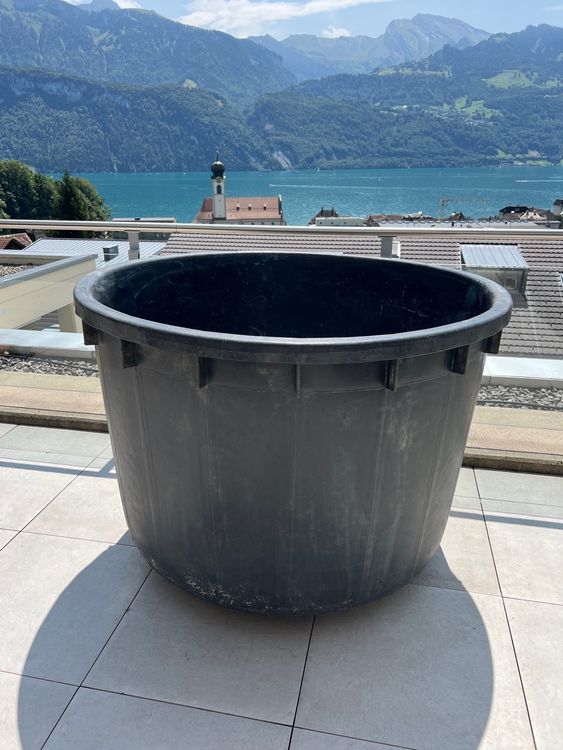 Teichbecken, Kunststoff Wanne 1000L Kaufen auf Ricardo
