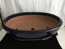 Bonsai Schale Topf oval 39 x 31 cm