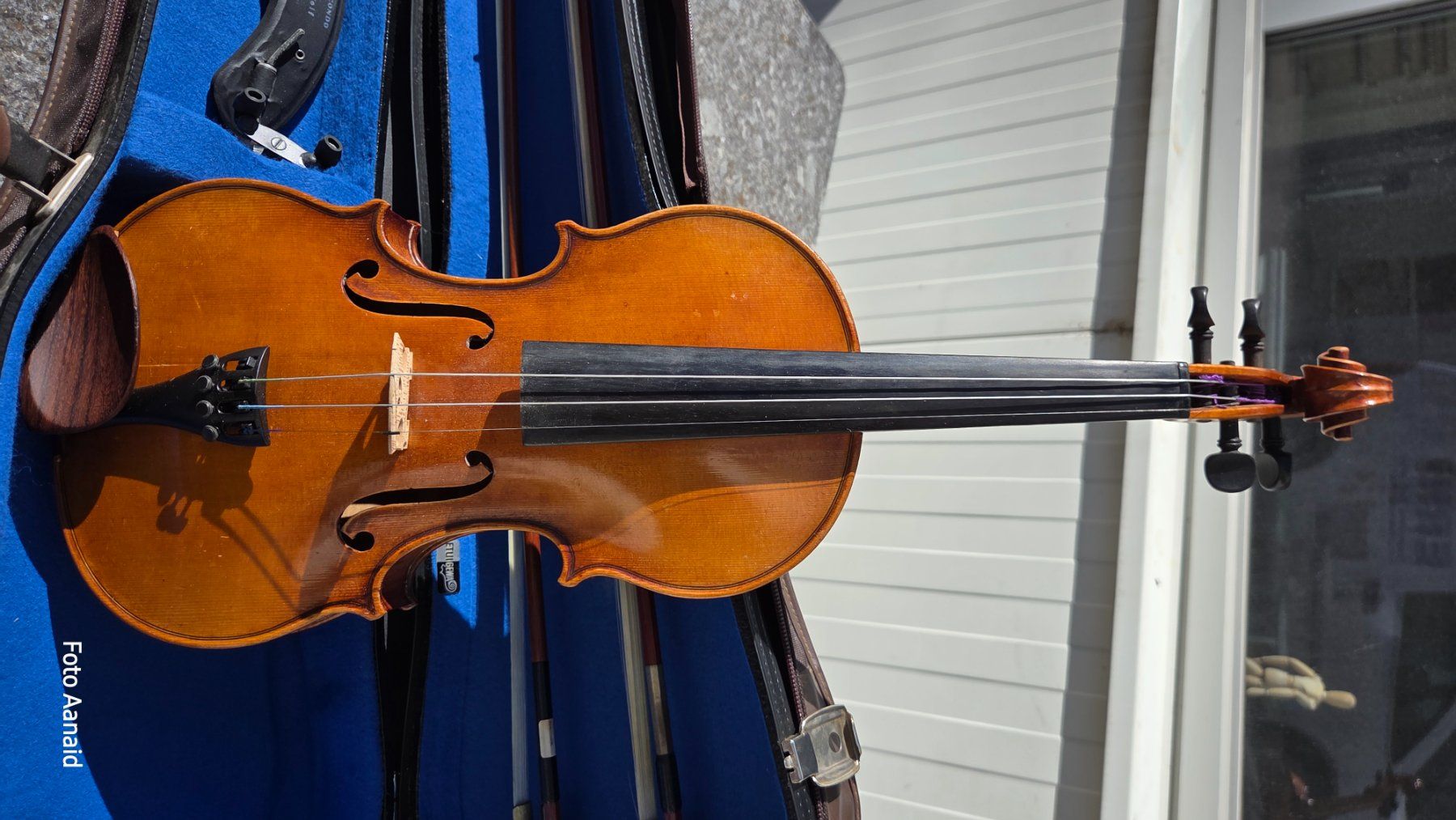 Musikinstrumente: Geige – Gebraucht aus Bremgarten AG von HalDee 1