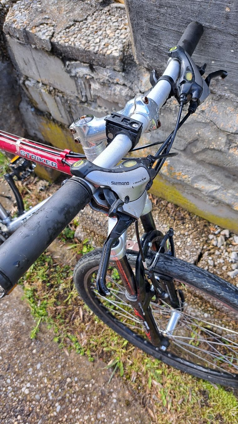 Mondia Biciclette: Velo – Usato da Rumisberg venduto da Forstmichel 4