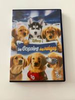 DVD Les Copains des Neiges Disney