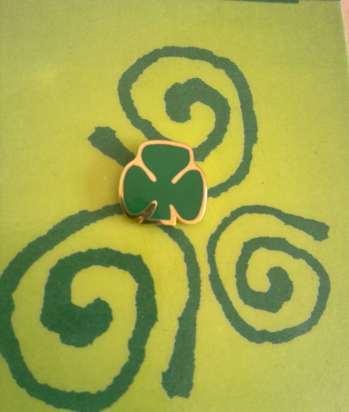 Placchette & Badge: IRLAND PIN – Nuovo (secondo la descrizione) da Embrach venduto da korbflechter49 1