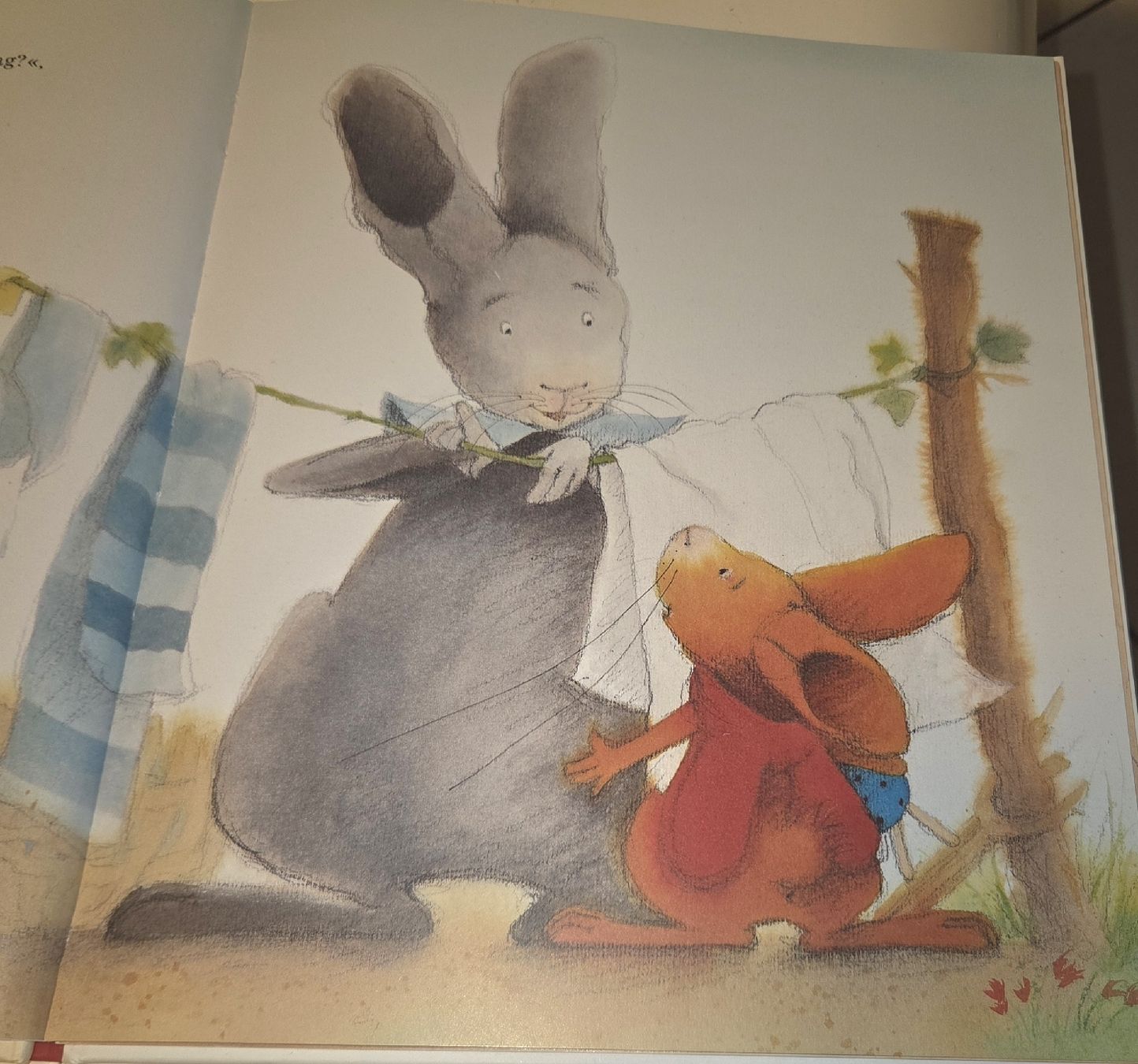 Libri: Buch Herzlich Glückwunsch Pauli – Usato da Wetzikon ZH venduto da strubeli444 2