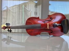 4/4 Geige / Violine