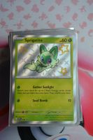 Sprigatito Shiny