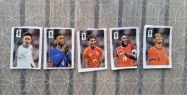 Panini 2026