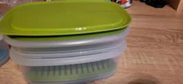 Tupper Jr. Cool an fresh 640 ml und 260 ml mit Sieb
